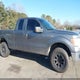 1FTFX1EV3AFC03768 2010 Ford F-150 Fx4/Lariat/Xl/Xlt auction photo thumbnail 13