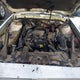 1G4AG55M4R6451253 1994 Buick Century Special auction photo thumbnail 10