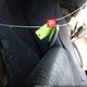 1N4AL3AP2GC269317 2016 Nissan Altima 2.5 S auction photo thumbnail 11