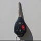 JTEBU5JR4H5446539 2017 Toyota 4Runner Trd Pro auction photo thumbnail 11