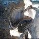 1C4PJLLB5MD232229 2021 Jeep Cherokee Altitude Fwd auction photo thumbnail 7
