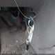 5TDZA23CX4S179463 2004 Toyota Sienna Ce/Le auction photo thumbnail 11