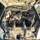 2G1WB57K491227677 2009 Chevrolet Impala Ls auction photo thumbnail 10