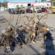 A7BC522C6NB011957 2023 Intimidator Gc1K Crew auction photo thumbnail 2