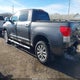 5TFHW5F17DX318242 2013 Toyota Tundra Platinum 5.7L V8 auction photo thumbnail 3