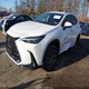 JTJADCAZ4R2008446 2024 Lexus Nx 250 auction photo thumbnail 2