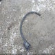1G1ZE5EU2BF366746 2011 Chevrolet Malibu Ltz auction photo thumbnail 12