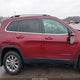 1C4PJMLB6MD216448 2021 Jeep Cherokee Latitude Plus 4X4 auction photo thumbnail 13