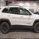1C4PJMBNXKD228157 2019 Jeep Cherokee Trailhawk 4X4 auction photo thumbnail 13