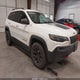 1C4PJMBNXKD228157 2019 Jeep Cherokee Trailhawk 4X4 auction photo thumbnail 1