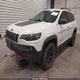 1C4PJMBNXKD228157 2019 Jeep Cherokee Trailhawk 4X4 auction photo thumbnail 2