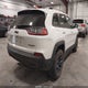 1C4PJMBNXKD228157 2019 Jeep Cherokee Trailhawk 4X4 auction photo thumbnail 4