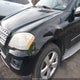 4JGBB8GB1AA606603 2010 Mercedes-Benz Ml 350 4Matic auction photo thumbnail 13
