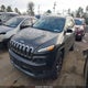 1C4PJMDBXFW718501 2015 Jeep Cherokee Limited auction photo thumbnail 2