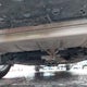 3MZBPABM4PM359480 2023 Mazda Mazda3 2.5 S Select auction photo thumbnail 19