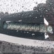 5J6RM4H38EL004895 2014 Honda Cr-V Lx auction photo thumbnail 17