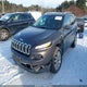 1C4PJMDS4GW333999 2016 Jeep Cherokee Limited auction photo thumbnail 10