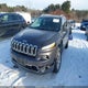 1C4PJMDS4GW333999 2016 Jeep Cherokee Limited auction photo thumbnail 2