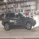 1C4PJMBS1HW512926 2017 Jeep Cherokee Trailhawk 4X4 auction photo thumbnail 14