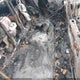 1G1ZC5ST1NF147668 2022 Chevrolet Malibu Fwd 1Fl auction photo thumbnail 8