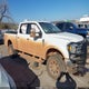 1FT7W2BT3HEB28747 2017 Ford F-250 Xlt auction photo thumbnail 14