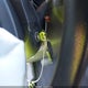3GCPYBEH6KG149688 2019 Chevrolet Silverado 1500 Custom auction photo thumbnail 11