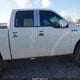 1FTFW1EVXAFD84161 2010 Ford F-150 Fx4/Harley-Davidson/King Ranch/Lariat/Platinum/Xl/Xlt auction photo thumbnail 13
