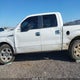 1FTFW1EVXAFD84161 2010 Ford F-150 Fx4/Harley-Davidson/King Ranch/Lariat/Platinum/Xl/Xlt auction photo thumbnail 14