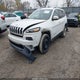 1C4PJLDB9GW239322 2016 Jeep Cherokee Limited auction photo thumbnail 2