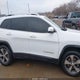 1C4PJMDN4KD179146 2019 Jeep Cherokee Limited 4X4 auction photo thumbnail 13