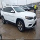 1C4PJMDN4KD179146 2019 Jeep Cherokee Limited 4X4 auction photo thumbnail 1