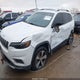 1C4PJMDN4KD179146 2019 Jeep Cherokee Limited 4X4 auction photo thumbnail 6