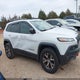 1C4PJMBS0GW252176 2016 Jeep Cherokee Trailhawk auction photo thumbnail 13