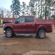 1FTEW1EF4FKE59505 2015 Ford F-150 Xlt auction photo thumbnail 14
