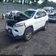 1C4PJMDS8GW123616 2016 Jeep Cherokee Limited auction photo thumbnail 2