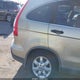 5J6RE48549L017146 2009 Honda Cr-V Ex auction photo thumbnail 6