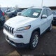 1C4PJMDS3HW545505 2017 Jeep Cherokee Limited 4X4 auction photo thumbnail 2