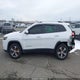 1C4PJMDX8KD253413 2019 Jeep Cherokee Limited 4X4 auction photo thumbnail 14