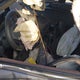 1HGCR2F32DA252530 2013 Honda Accord Lx auction photo thumbnail 11