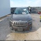 1C4PJLLX6KD381807 2019 Jeep Cherokee Latitude Plus Fwd auction photo thumbnail 12