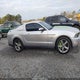 1ZVBP8CF7C5248298 2012 Ford Mustang Gt Premium auction photo thumbnail 12