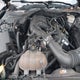 1FA6P8AM5F5396031 2015 Ford Mustang V6 auction photo thumbnail 10