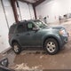 1FMCU9DG8BKA41038 2011 Ford Escape Xlt auction photo thumbnail 13