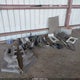 1J8FF28W97D294636 2007 Jeep Patriot Sport auction photo thumbnail 11