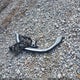 2HGFB2F59EH535478 2014 Honda Civic Lx auction photo thumbnail 12
