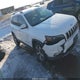 1C4PJMDXXKD231915 2019 Jeep Cherokee Limited 4X4 auction photo thumbnail 1