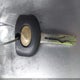 JTHBD192550094289 2005 Lexus Is 300 Base W/5-Speed Manual auction photo thumbnail 11
