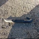 2FTRF18204CA60926 2004 Ford F-150 Heritage Xl/Xlt auction photo thumbnail 12