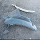 KMHHT6KD4DU096724 2013 Hyundai Genesis 2.0T Premium auction photo thumbnail 12