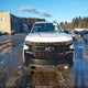 1GCPYFED3LZ377492 2020 Chevrolet Silverado 1500 4Wd Short Bed Lt Trail Boss auction photo thumbnail 12